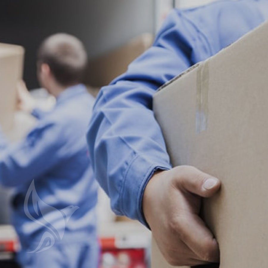 profire-wp-products-wpt-manualhandling-1